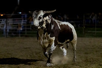Lone Oak Rodeo 8.25.23