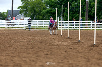 Pet Pony