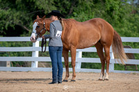 Sr & Sr+ Showmanship
