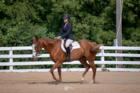 Sr English Equitation