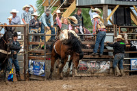 Open Bronc