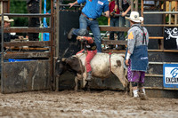 Pee Wee Bulls