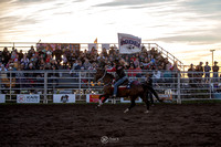 Steer Wrestling