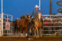 Riderless Horse