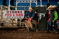 Mutton Busting