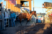 Bronc Riding