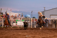 Team Roping