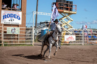 Sponsor Flags