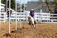 Pet Pony 10 & Under Poles