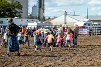 Chicken Chasing